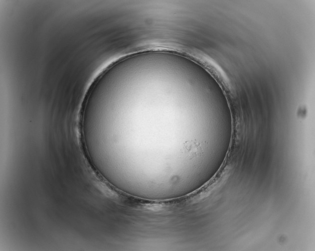 X0000102381182200808151851