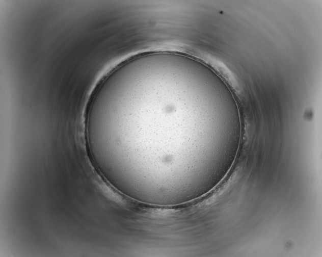 X0000102381184200808151851