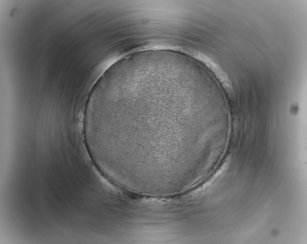 X0000102381185200808151851