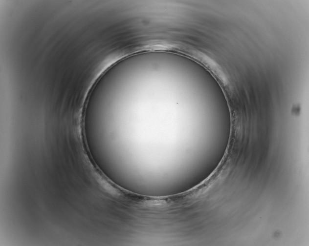 X0000102381186200808151851