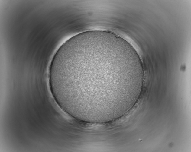 X0000102381187200808151851