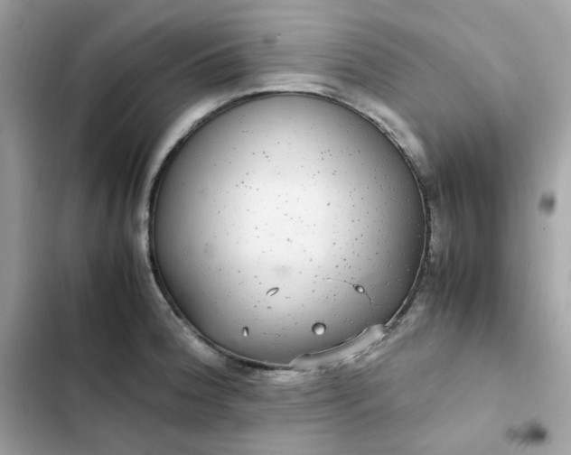 X0000102381188200808151851