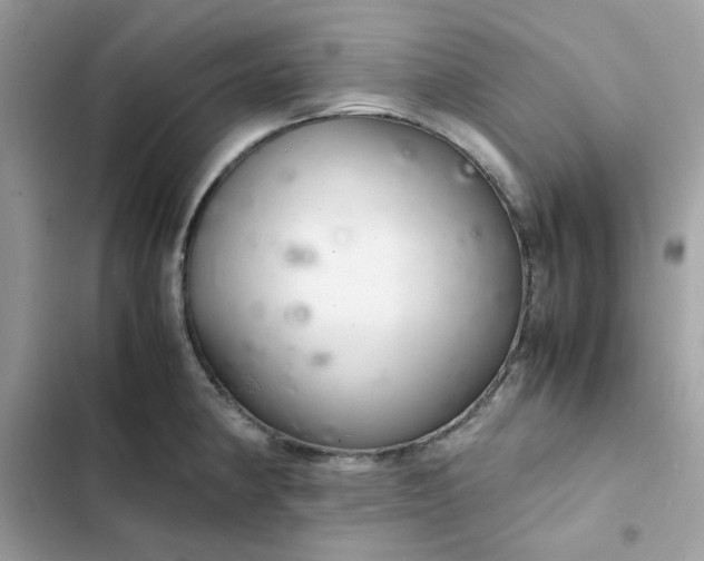 X0000102381190200808151851