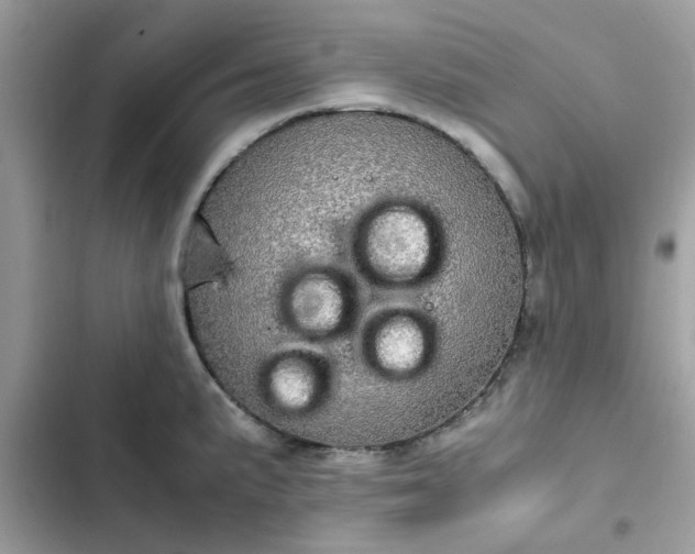 X0000102381191200808151851