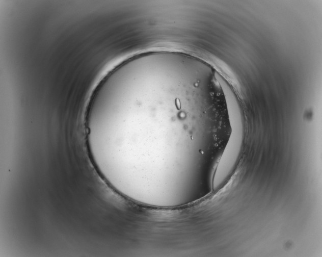 X0000102381192200808151851