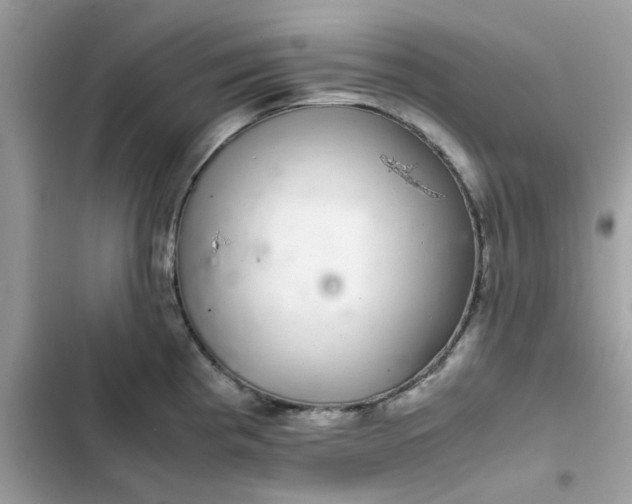 X0000102381193200808151851