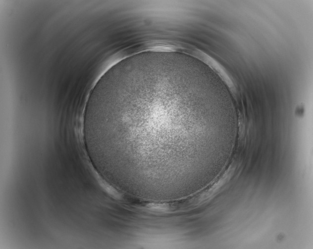 X0000102381194200808151851