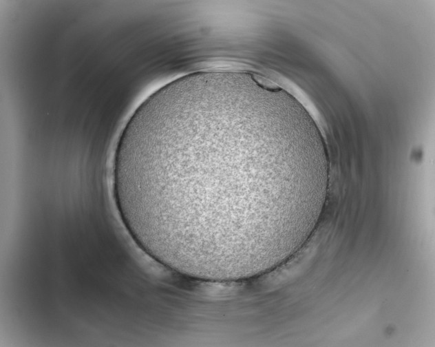 X0000102381195200808151851