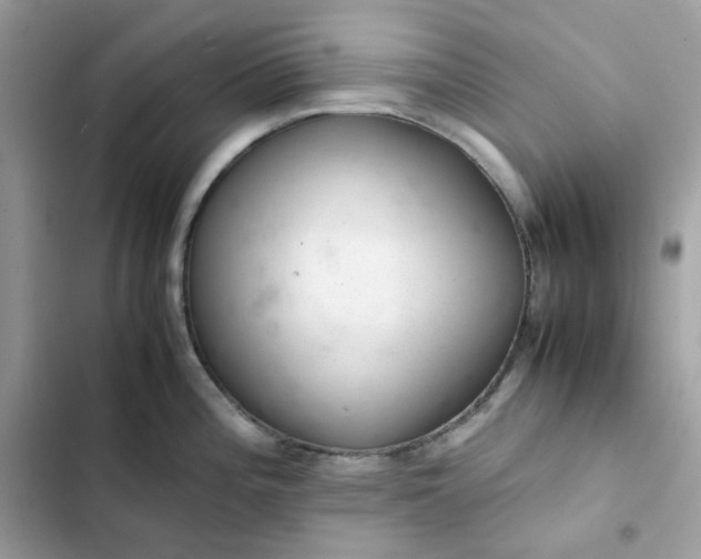 X0000102381196200808151851