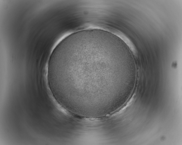 X0000102381198200808151851