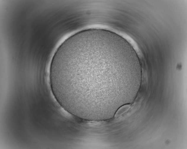 X0000102381199200808151851