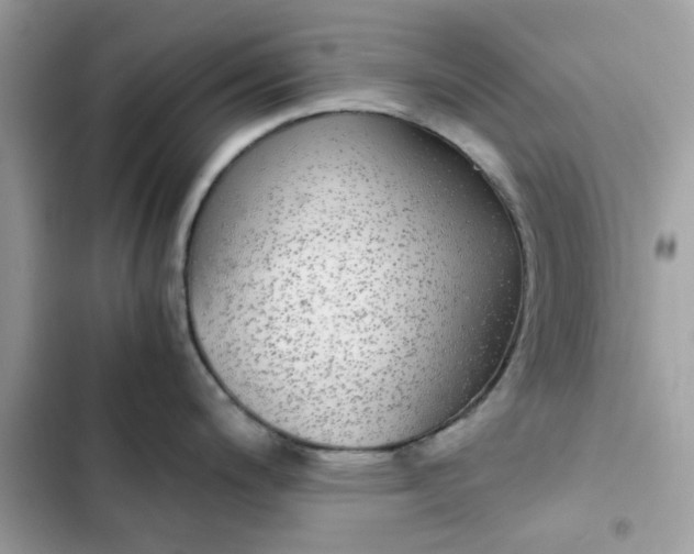 X0000102381200200808151851