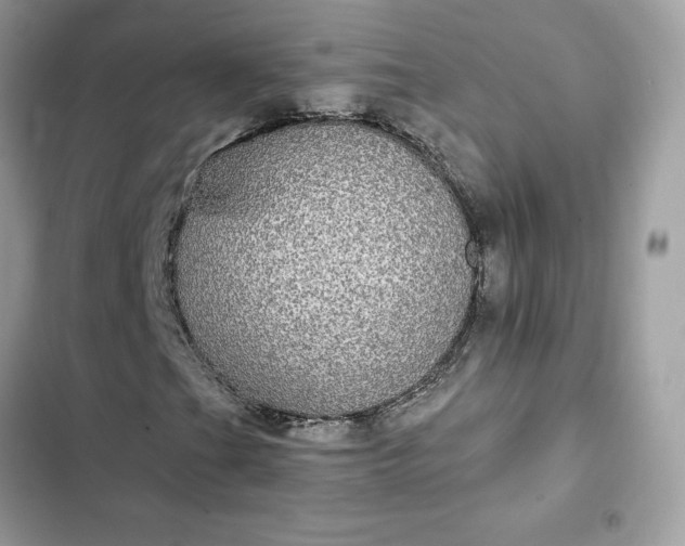 X0000102381201200808151850