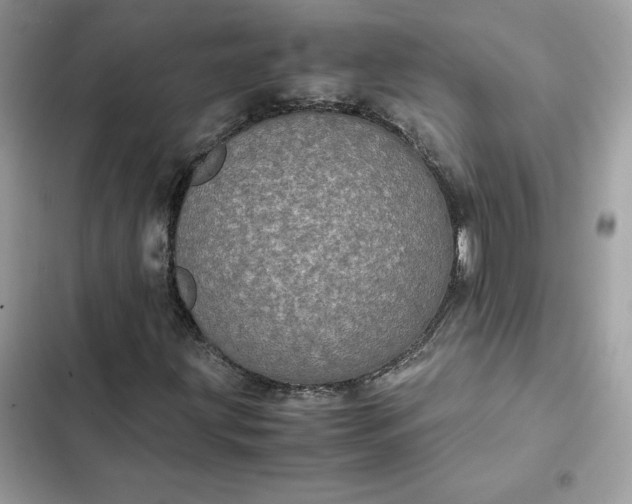 X0000102381203200808151850