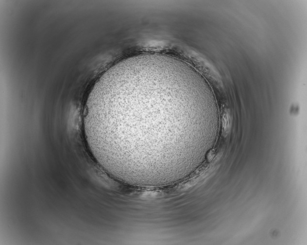 X0000102381204200808151850