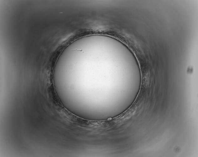 X0000102381205200808151850