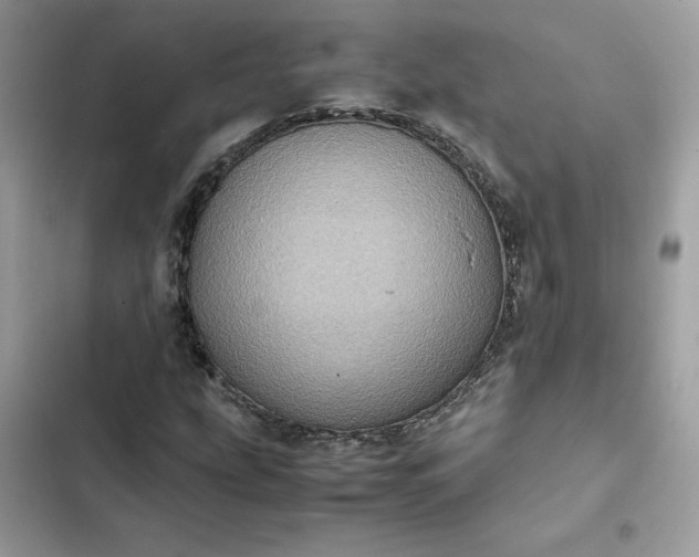 X0000102381207200808151850