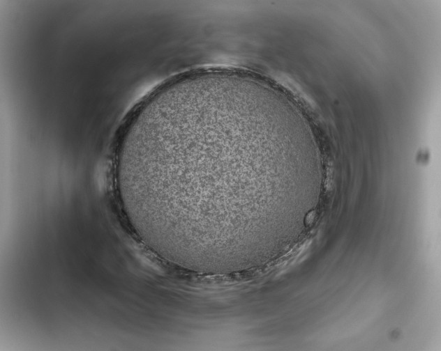 X0000102381208200808151850