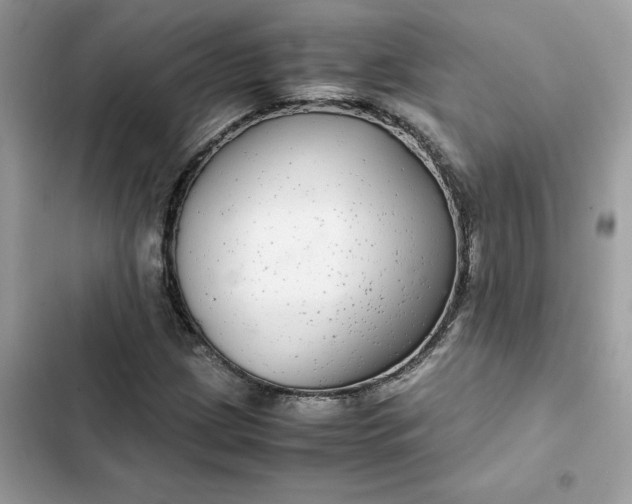 X0000102381209200808151850