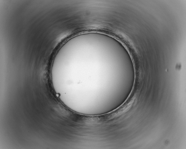 X0000102381210200808151850