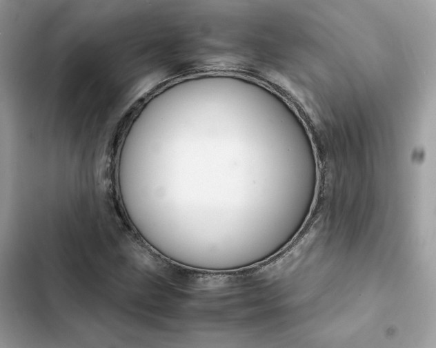 X0000102381211200808151850