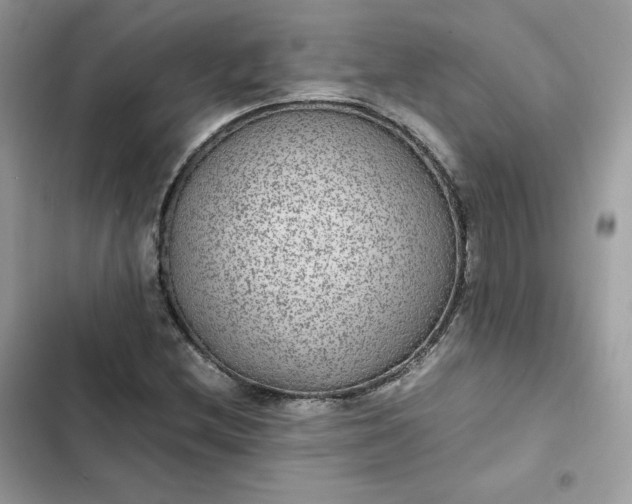 X0000102381212200808151850