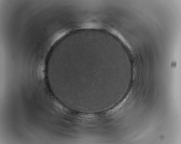 X0000102381213200808151850