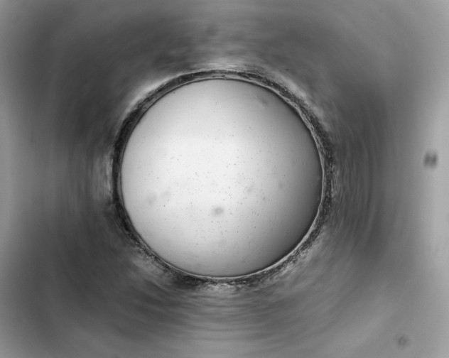 X0000102381214200808151850