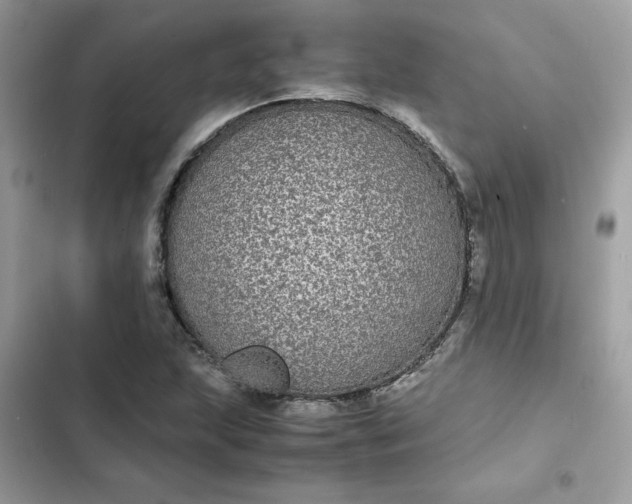 X0000102381215200808151850