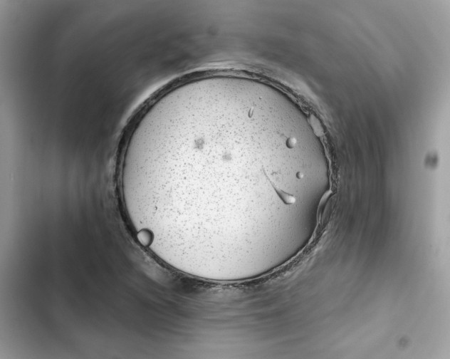 X0000102381216200808151850