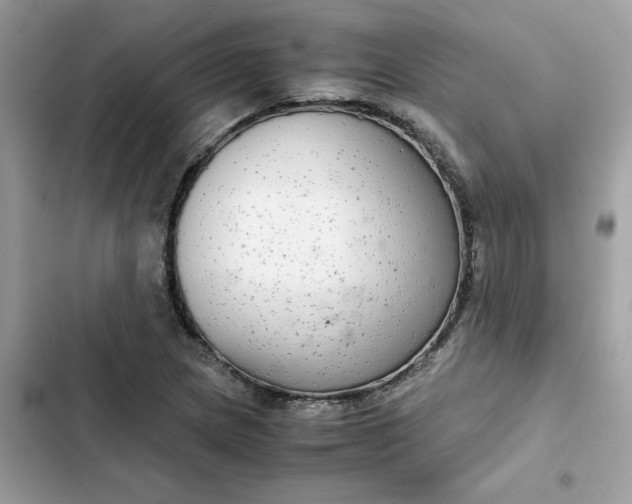 X0000102381217200808151850