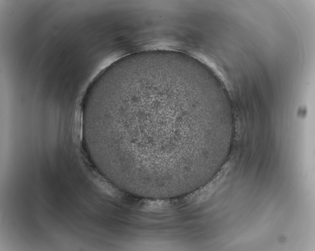 X0000102381219200808151850