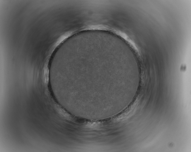 X0000102381221200808151850