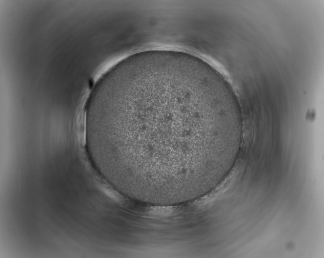 X0000102381223200808151850