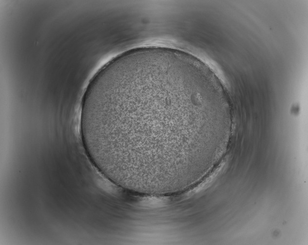 X0000102381224200808151850