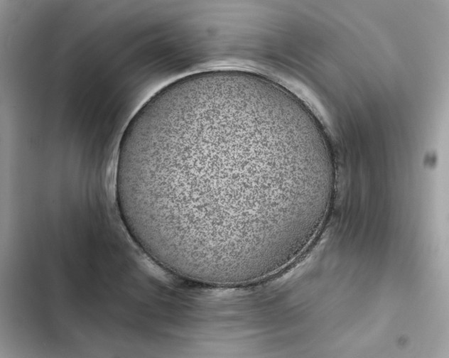 X0000102381228200808151850