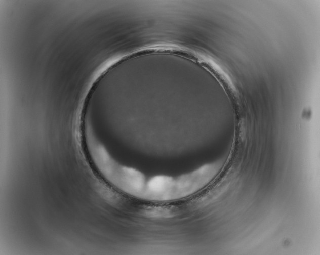 X0000102381229200808151850