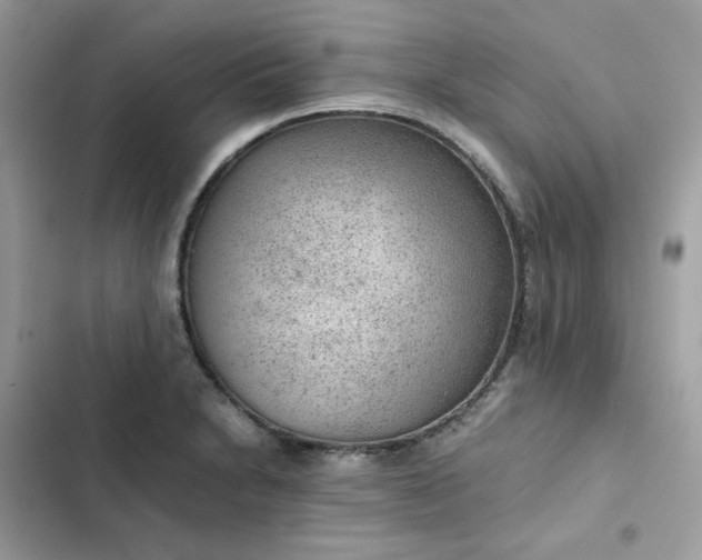 X0000102381230200808151850