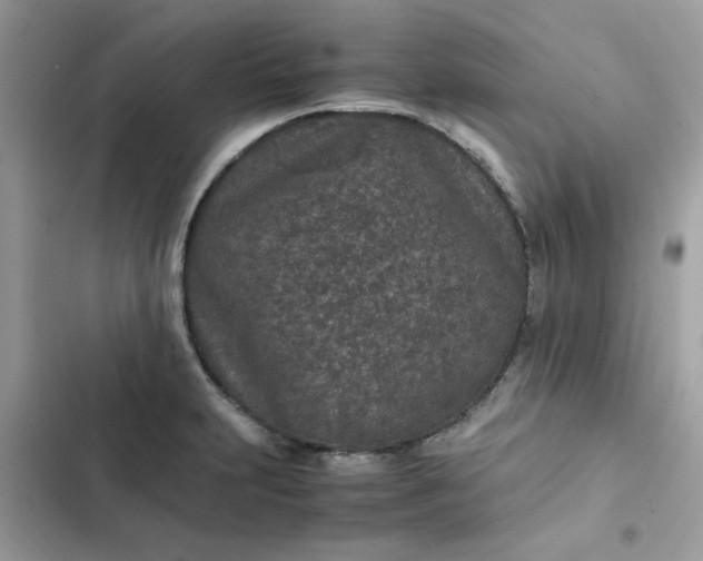 X0000102381231200808151850