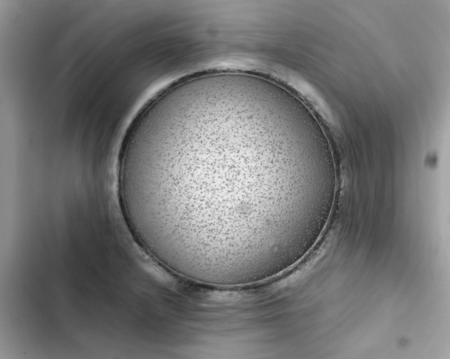 X0000102381232200808151850