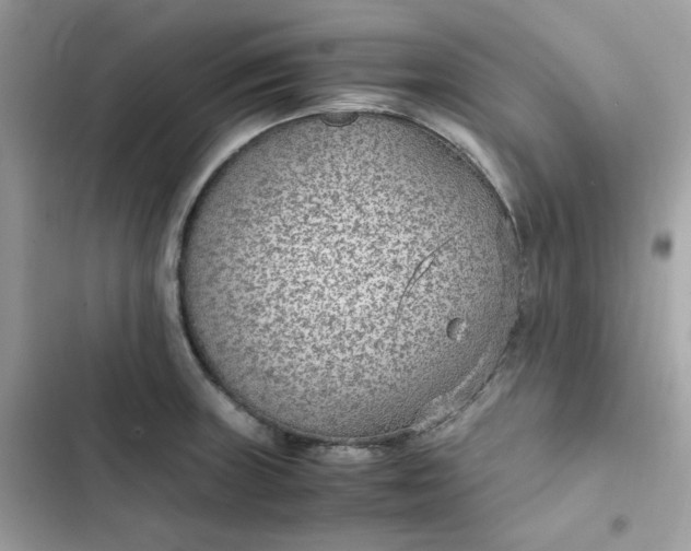 X0000102381235200808151850