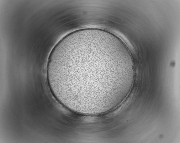 X0000102381236200808151850