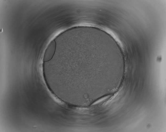 X0000102381237200808151850