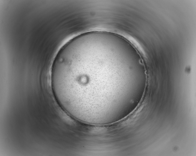 X0000102381238200808151850