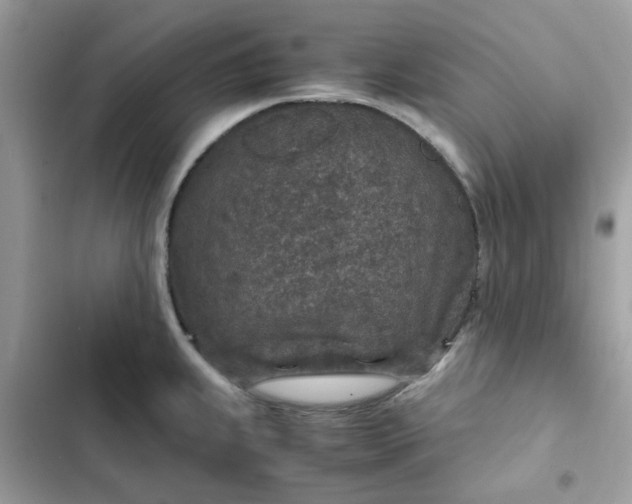 X0000102381239200808151850