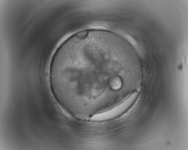 X0000102381240200808151850