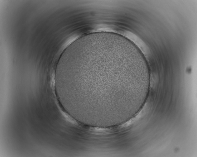 X0000102381241200808151850