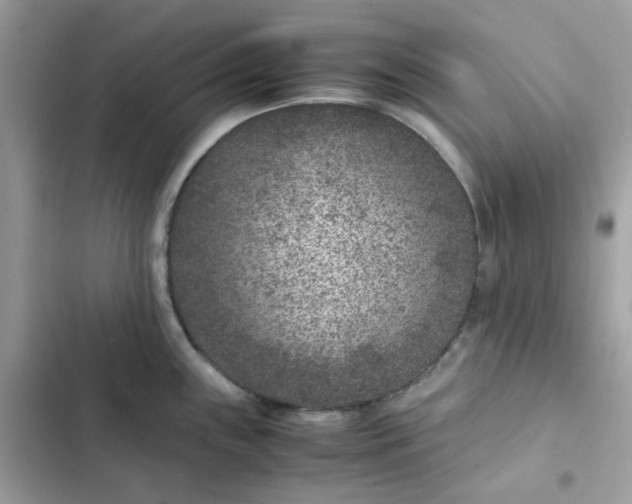 X0000102381243200808151850