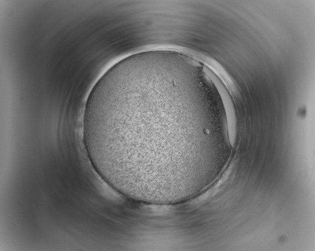 X0000102381244200808151850