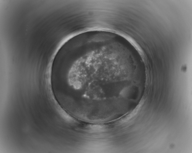 X0000102381246200808151850